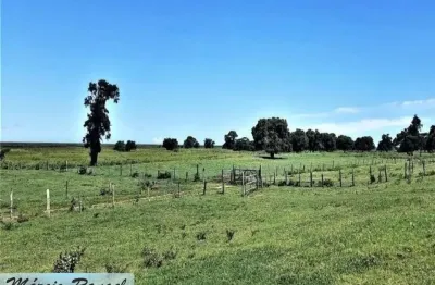 Fazenda 74 alqueires / gado, dores de macabu, campos dos goytacazes