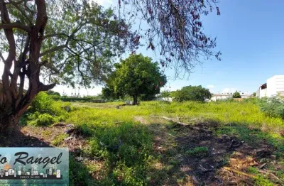 Área com possibilidades diversas, tanto comercial, residencial, ou mista