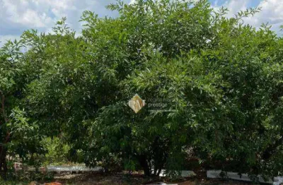 Terreno à venda, 160 m² por r$ 150.000,00 - jardim santa marta iii - salto/sp