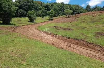 Chácara para venda em almirante tamandaré, pacotuba