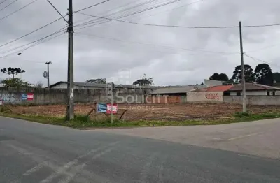 Terreno comercial para venda em são josé dos pinhais, borda do campo