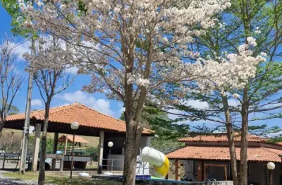 Linda chácara prox. de anápolis, espaço para lazer e forma de renda, local totalmente formado, casa , córrego e muito mais.