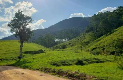 Terreno comercial à venda na Estrada Geral De Garcia, Garcia, Angelina