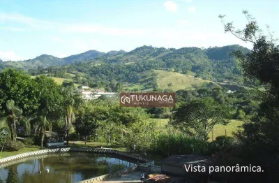 Chácara à venda, 8000 m² por r$ 650.000,00 - itapeva - itapeva/mg