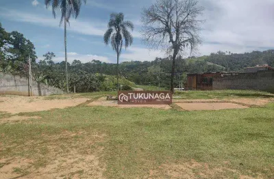 Terreno à venda, 1980 m² por r$ 800.000,00 - cachoeira - santa isabel/sp