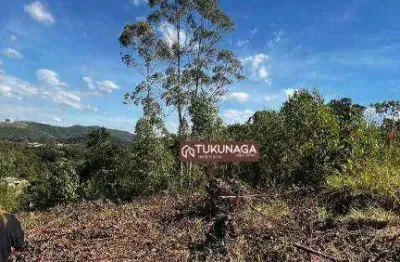 Terreno à venda, 1000 m² por r$ 110.000,00 - rio acima - mairiporã/sp