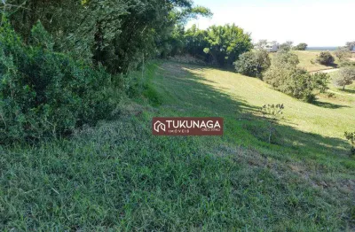 Terreno à venda, 485 m² por r$ 60.000,00 - riviera de santa cristina xiii - paranapanema/sp