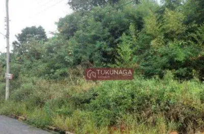 Terreno à venda, 250 m² por r$ 80.000,00 - jardim luiza - guararema/sp