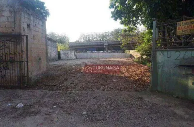 Terreno à venda, 1549 m² por r$ 1.700.000,00 - vila galvão - guarulhos/sp