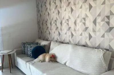 Apartamento à venda, 109 m² por r$ 1.045.000,00 - (zona norte) barro branco - são paulo/sp