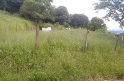 Terreno residencial à venda, no bairro  morro grande.