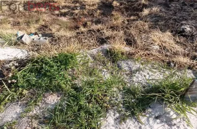 Lote / terreno de bairro para vender no bairro laranjeiras em caieiras