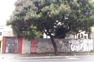 Terreno residencial para venda na vila souza, ótima localização, ao lada da avenida inajar de souza