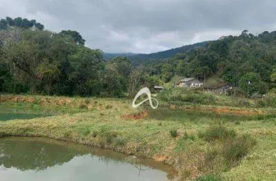 Sítio com 2 dormitórios à venda, 871200 m² por r$ 1.782.000,00 - zona rural - tijucas do sul/pr