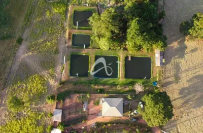 Chácara rural em cidade Gaúcha com tanques de peixes e potencial produtivo