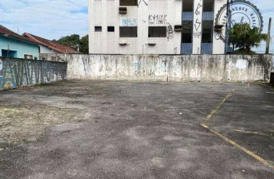 Terreno comercial para alugar na Avenida Presidente Kennedy, Vila Mirim, Praia Grande