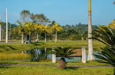 Terrenos em araquari - br280 : de 240m² a 1.000m² (residencial e comercial)