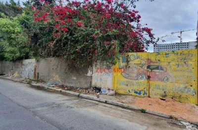 Terreno à venda, 1000 m² por r$ 1.900.000,00 - vila jacuí - são paulo/sp