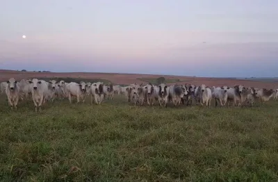 Fazenda à venda, 49464800 m² por r$ 511.000.000,00 - centro - pompéia/sp