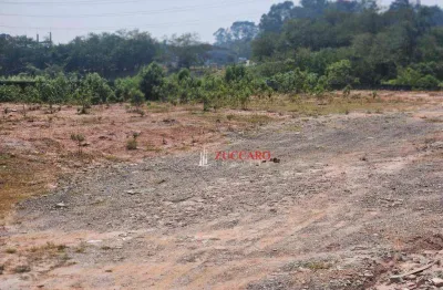 Área à venda, 53000 m² por r$ 34.450.000 - água chata - guarulhos/sp