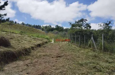 Terreno à venda, 1371 m² por r$ 200.000,00 - chácaras guanabara - guararema/sp