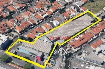 Galpão para alugar, 9500 m² por r$ 348.000,00/mês - pari - são paulo/sp