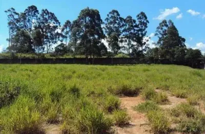 Terreno para alugar, 1500 m² por r$ 30.000,00 - jardim santo afonso - guarulhos/sp