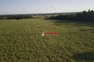 Fazenda à venda, 7720000 m² por R$ 40.000.000,00 - Centro - Alvorada D'Oeste/RO