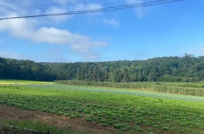 Área à venda, 194153 m² por r$ 11.650.000,00 - parque santa rosa - suzano/sp