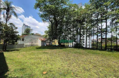 Terreno à venda, 1198 m² por R$ 2.000.000,00 - Vila Albertina - São Paulo/SP