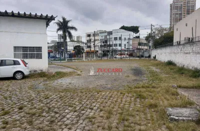 Terreno à venda, 1500 m² por r$ 5.999.999,99 - vila das palmeiras - guarulhos/sp