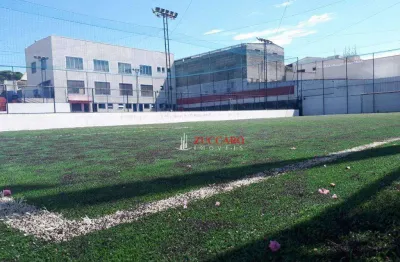 Terreno à venda, 3800 m² por r$ 13.000.000,00 - picanco - guarulhos/sp