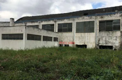 Área, 5600 m² - venda por r$ 21.000.000,01 ou aluguel por r$ 70.000,00/mês - macedo - guarulhos/sp