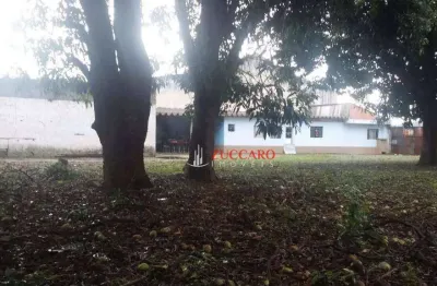 Terreno à venda, 1548 m² por R$ 3.200.000,00 - Jardim Cocaia - Guarulhos/SP