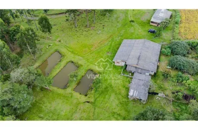 Sítio à venda, 81000 m² por r$ 1.090.000 - água amarela - antônio olinto/pr