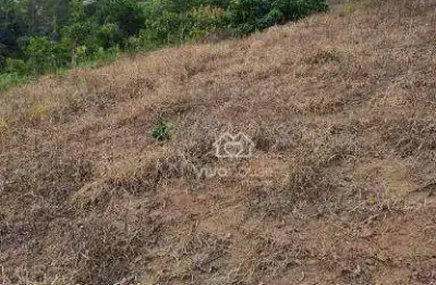Terreno à venda, 27000 m² por r$ 3.240.000 - quarta divisão - ribeirão pires/sp