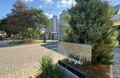 Apartamento com 2 dormitórios à venda, 48 m² por R$ 300.000,00 - Colônia - São Paulo/SP