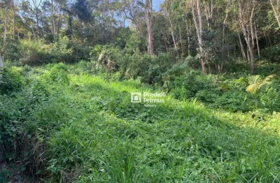 Terreno à venda, 505 m² por r$ 120.000,00 - loteamento sitio jacina - nova friburgo/rj
