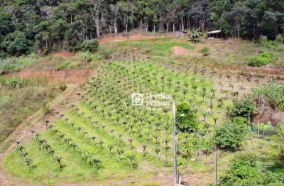 Chácara à venda, 20000 m² por r$ 1.100.000,00 - varginha - nova friburgo/rj