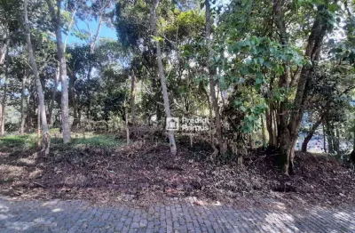 Terreno à venda, 480 m² por r$ 200.000,00 - vargem grande - nova friburgo/rj