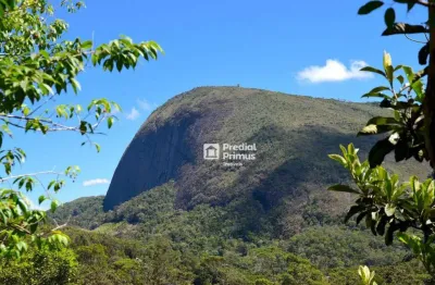 Terreno à venda, 93700 m² por r$ 250.000,00 - riograndina - nova friburgo/rj