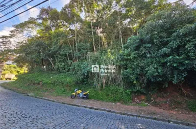 Terreno à venda, 1670 m² por r$ 170.000,00 - varginha - nova friburgo/rj
