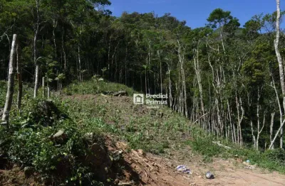 Terreno à venda, 780 m² por r$ 380.000,00 - são pedro da serra - nova friburgo/rj