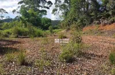 Terreno à venda, 20159 m² por r$ 380.000,00 - colonial 61 - nova friburgo/rj