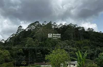 Terreno à venda, 8900 m² por r$ 180.000,00 - mury - nova friburgo/rj