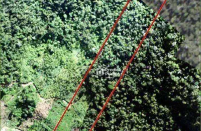 Terreno à venda, 32000 m² por r$ 360.000,00 - são pedro da serra - nova friburgo/rj