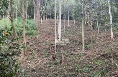 Terreno à venda, 1533 m² por r$ 200.000,00 - parque dom joão vi - nova friburgo/rj