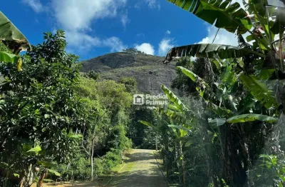 Terreno à venda, 2124 m² por r$ 400.000,00 - ponte da saudade - nova friburgo/rj