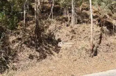 Terreno à venda, 650 m² por r$ 180.000,00 - parque são clemente - nova friburgo/rj