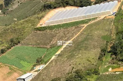 Sítio à venda, 42000 m² por r$ 3.000.000,00 - centro - sumidouro/rj